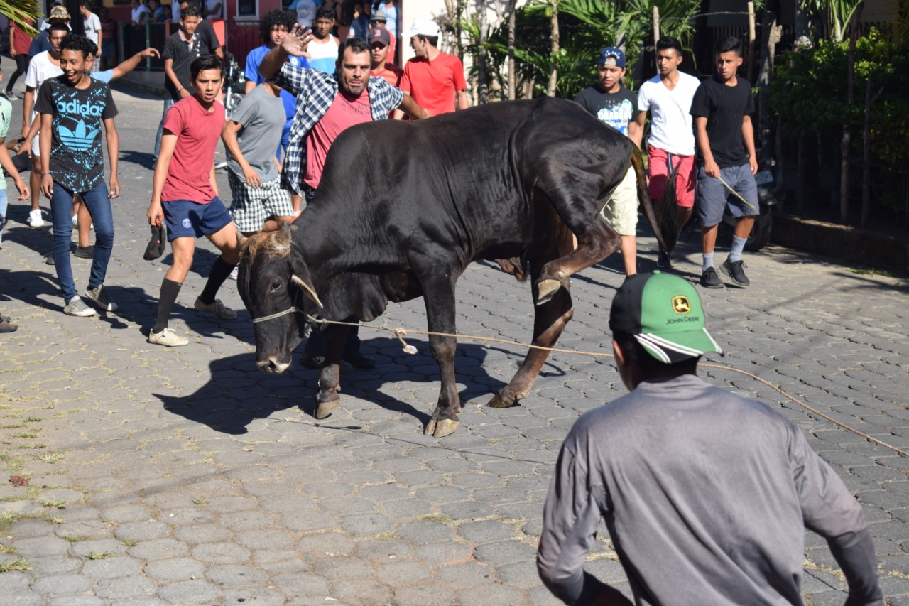TOROS1